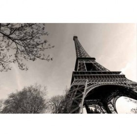 12799102 / Cuadro Torre Eiffel - Cuadrostock