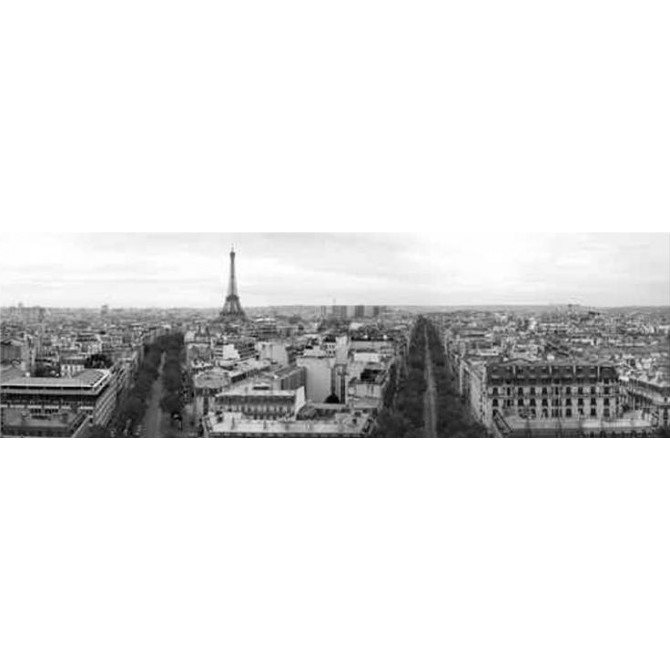 14396139 / Cuadro Torre Eiffel vista panorámica - Cuadrostock