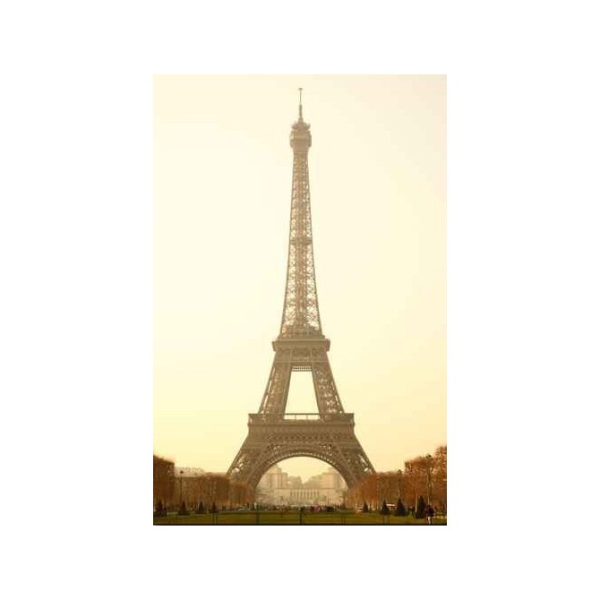 31201437 / Cuadro Torre Eiffel - Cuadrostock