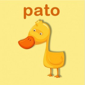 23159353 / Cuadro Pato - Cuadrostock