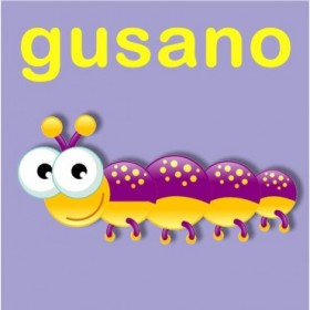 23159353 / Cuadro Gusano - Cuadrostock