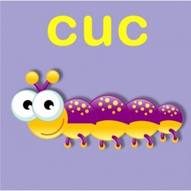 23159353 / Cuadro Cuc - Cuadrostock