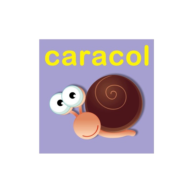 23159353 / Cuadro Caracol - Cuadrostock