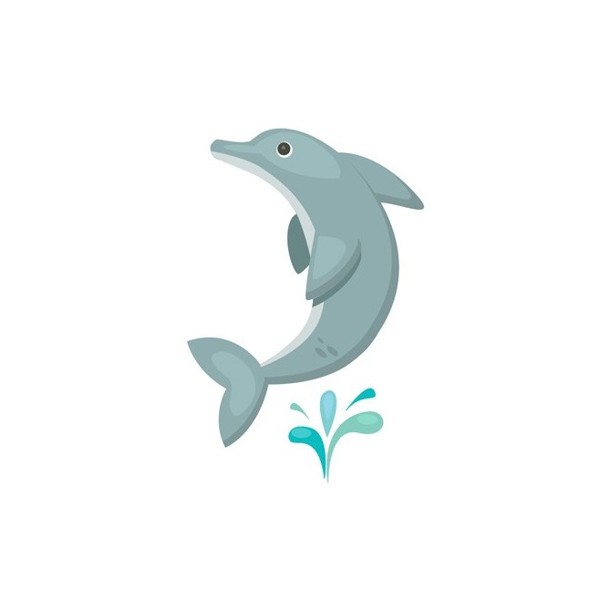 Cuadro Delfin - Cuadrostock