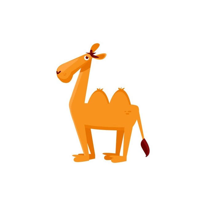 Cuadro Camello - Cuadrostock
