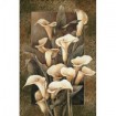 8278 / Cuadro Golden Calla Lilies - Cuadrostock