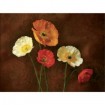 PLP 102 / Cuadro Poppy Perfection I - Cuadrostock