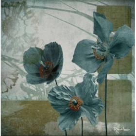 LRP 111 / Cuadro Cerulean Poppies II - Cuadrostock