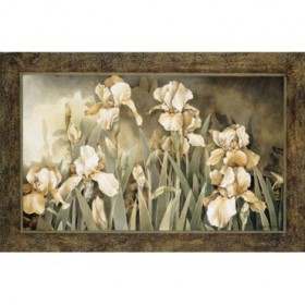 2789 / Cuadro Field of Irises - Cuadrostock