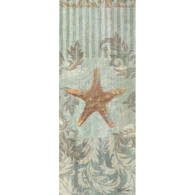 18609 / Cuadro Seaside Heirloom II Estrella de mar - Cuadrostock