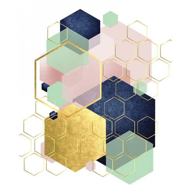 Gold Blush Navy Mint Hexagonal - Cuadrostock