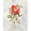 Linen Peony - Cuadrostock