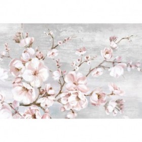 Spring Cherry Blossoms I  - Cuadrostock
