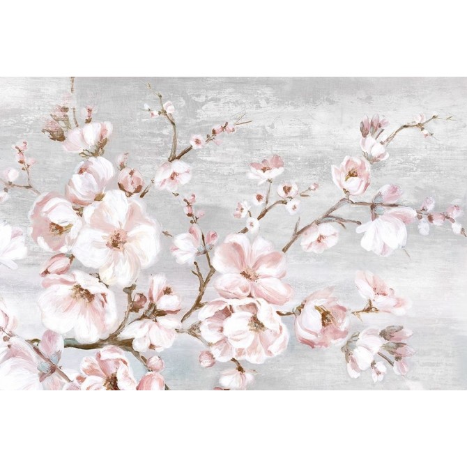 Spring Cherry Blossoms I  - Cuadrostock