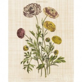 Herbal Botany XXII v2 Linen Crop - Cuadrostock