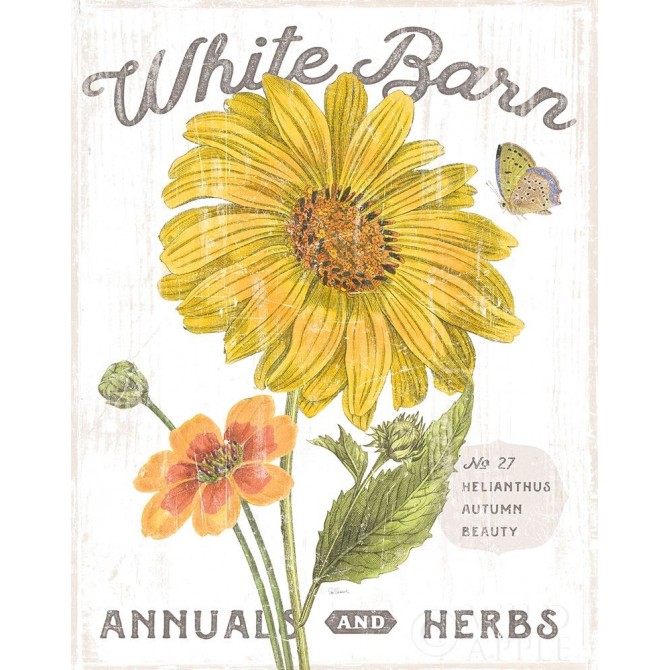 White Barn Flowers I - Cuadrostock