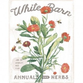White Barn Flowers IV - Cuadrostock