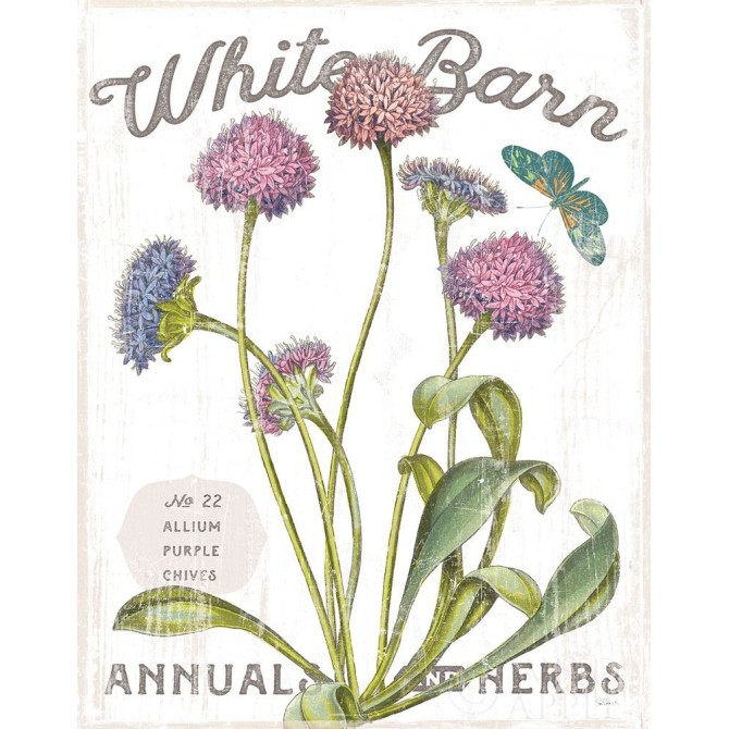 White Barn Flowers VI - Cuadrostock