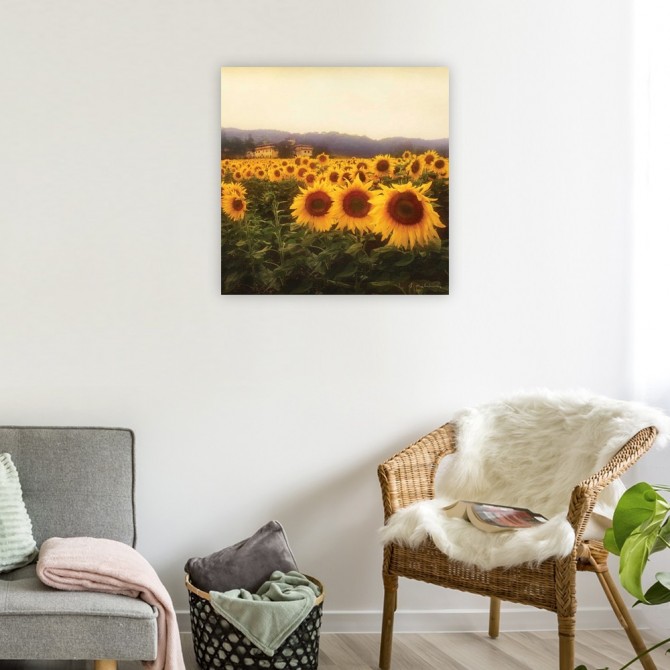 Tuscan Sunflowers - Cuadrostock