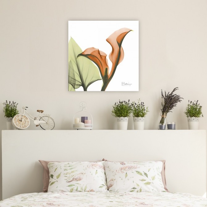 Cuadro para dormitorio - A Gift of Calla Lilies in Orange - Cuadrostock