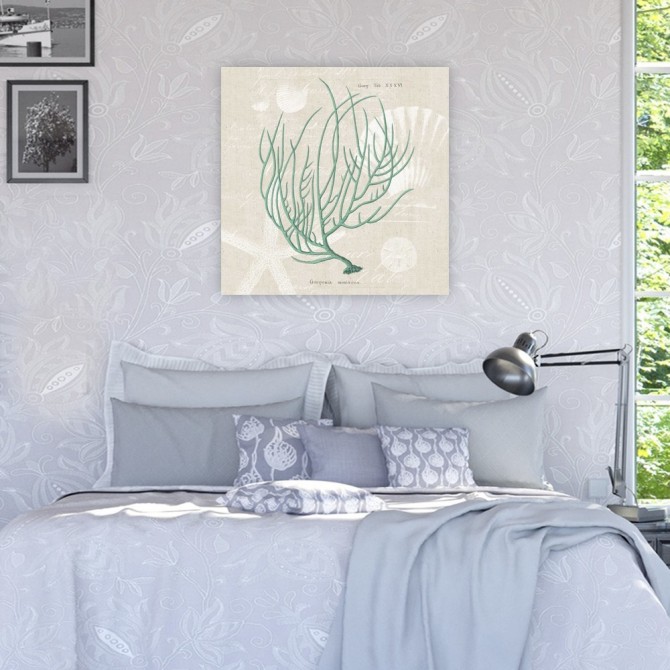 Cuadro para dormitorio - Gorgonia Miniacea - Cuadrostock