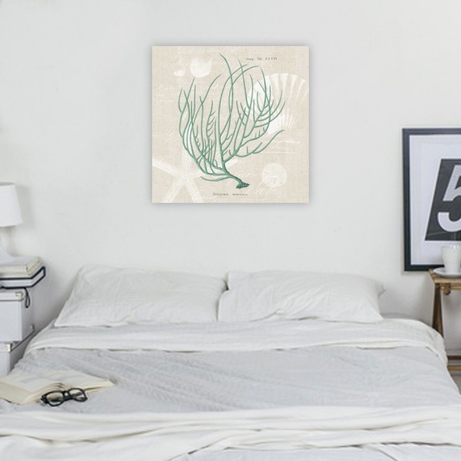 Cuadro para dormitorio - Gorgonia Miniacea - Cuadrostock