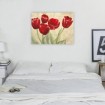 Red Tulips on Ivory - Cuadrostock