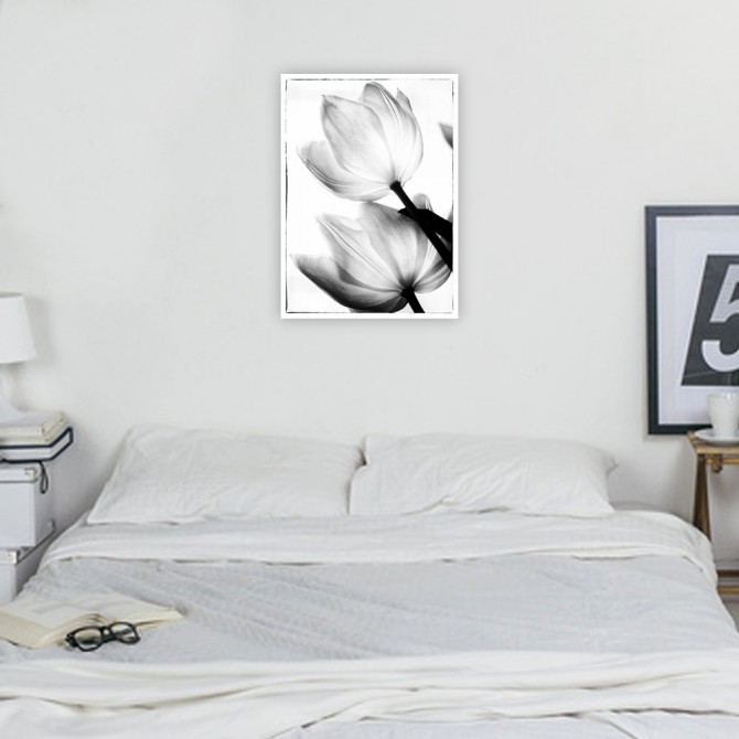 Cuadro para dormitorio - Translucent Tulips II - Cuadrostock