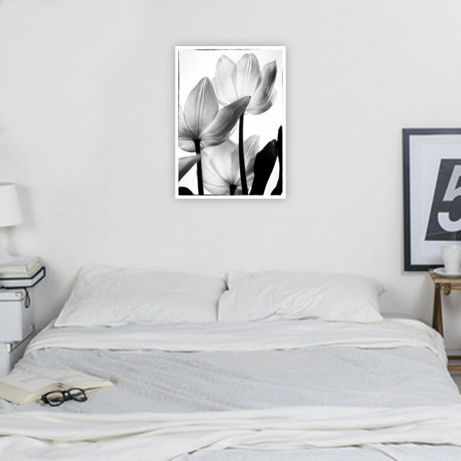 Cuadro para dormitorio - Translucent Tulips III - Cuadrostock