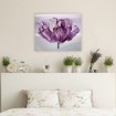 Awash In Plum Tulip - Cuadrostock