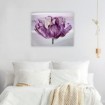 Awash In Plum Tulip - Cuadrostock