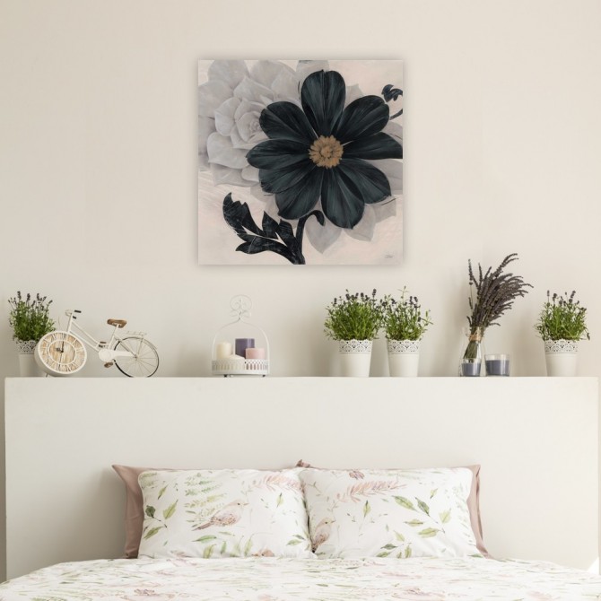 Blossom and Succulent Black - Cuadrostock