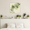 Mint Eucalyptus 1 - Cuadrostock