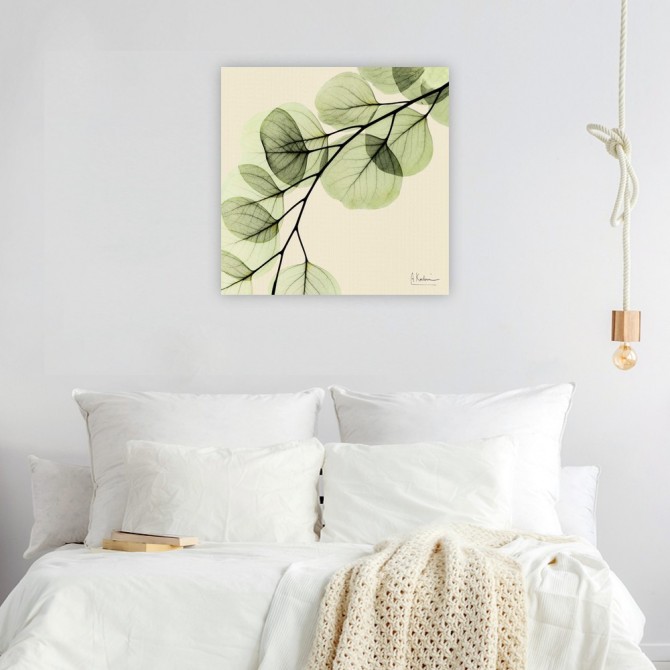 Cuadro para dormitorio - Mint Eucalyptus 1 - Cuadrostock