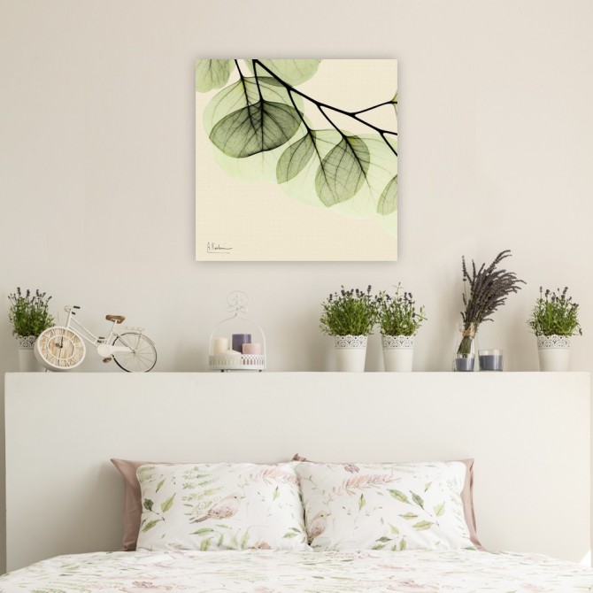 Cuadro para dormitorio - Mint Eucalyptus 3 - Cuadrostock