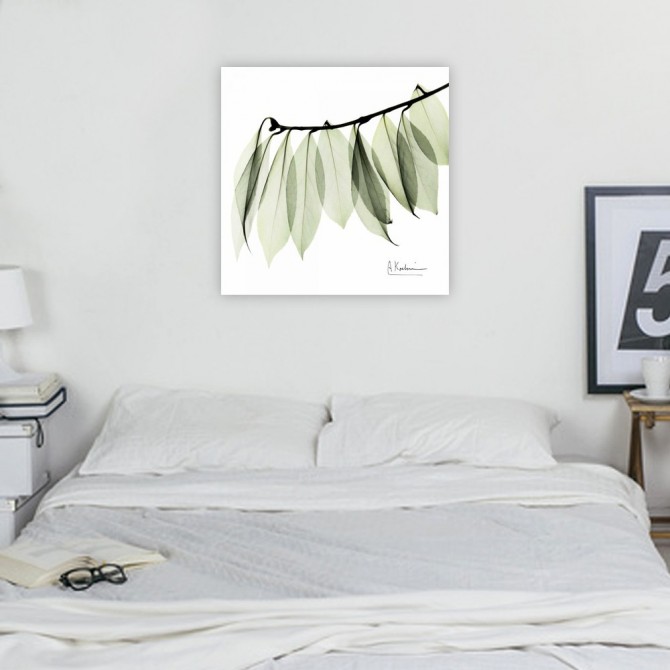 Camelia Leaf In White - Cuadrostock
