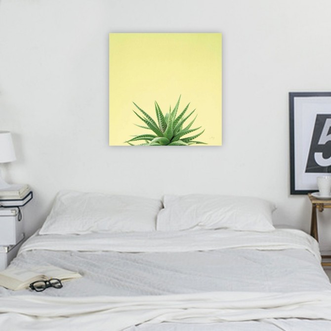 Cuadro para dormitorio - Succulent Simplicity I - Cuadrostock