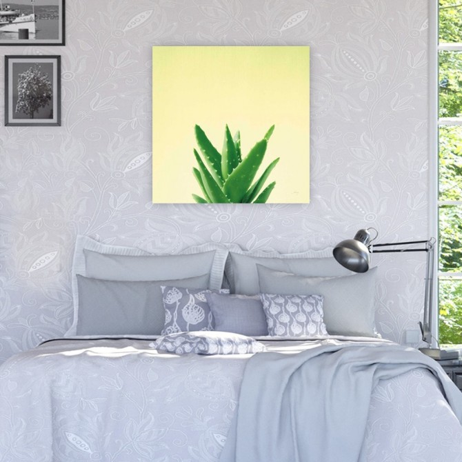 Cuadro para dormitorio - Succulent Simplicity V - Cuadrostock