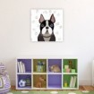 French Bulldog - Cuadrostock