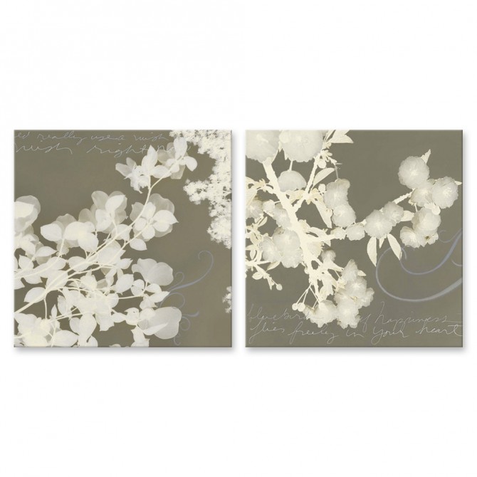 Cuadro para dormitorio - Juego de 2 cuadros de flores blancas - Cuadrostock