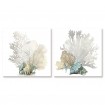 Set of 2 Pictures Coral - Cuadrostock