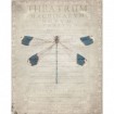 Dragonfly Book 1 - Cuadrostock