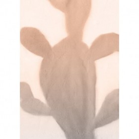 Pink Dusk Cactus 2 - Cuadrostock