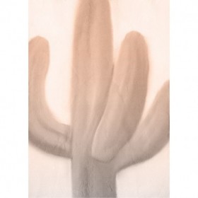 Pink Dusk Cactus 1 - Cuadrostock