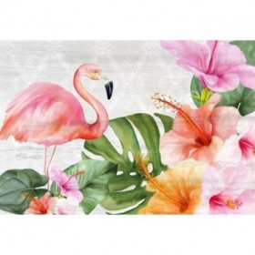 Flamingo Palm - Cuadrostock