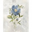 Blue Linen Peony - Cuadrostock