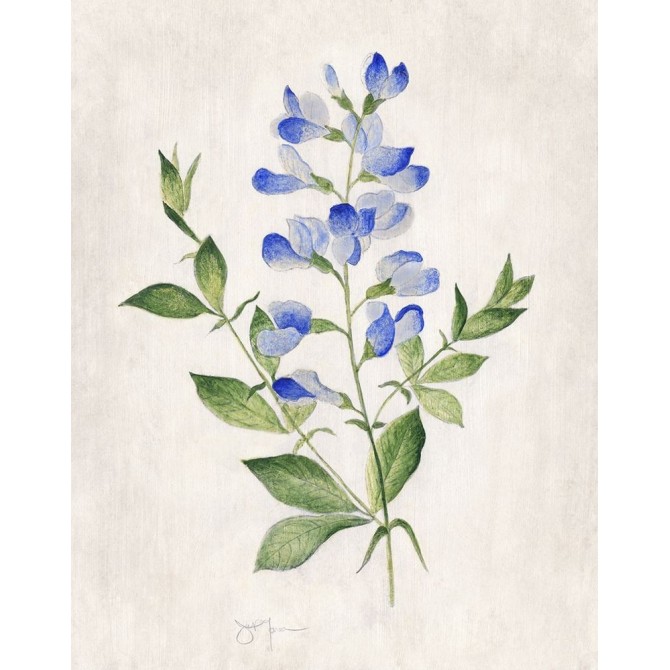 Blue Botanical II - Cuadrostock