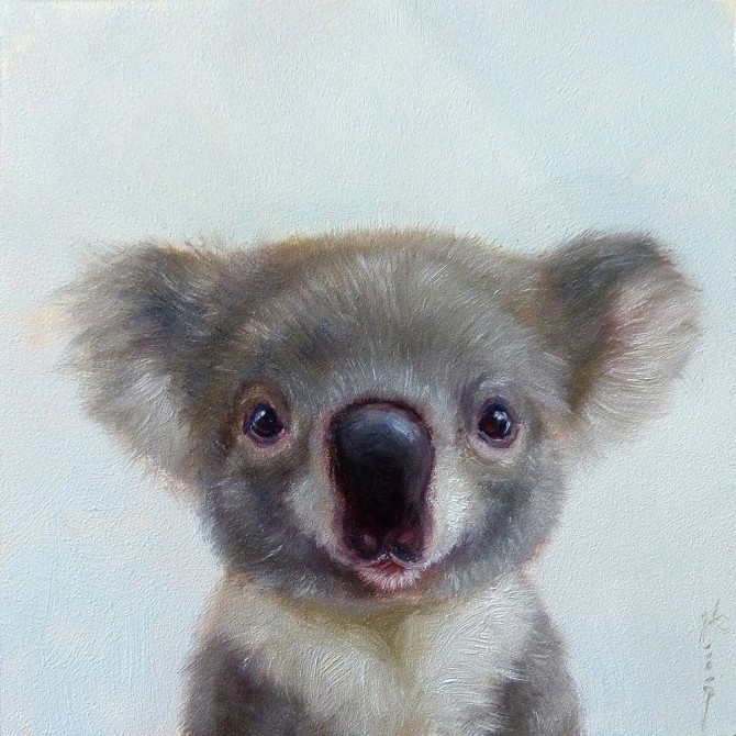 Lil Koala - Cuadrostock