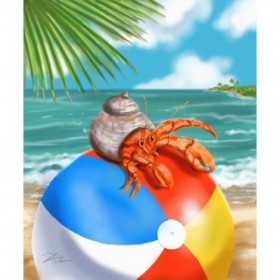 Beach Friends - Hermit Crab - Cuadrostock