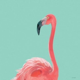 Flamingo - Cuadrostock
